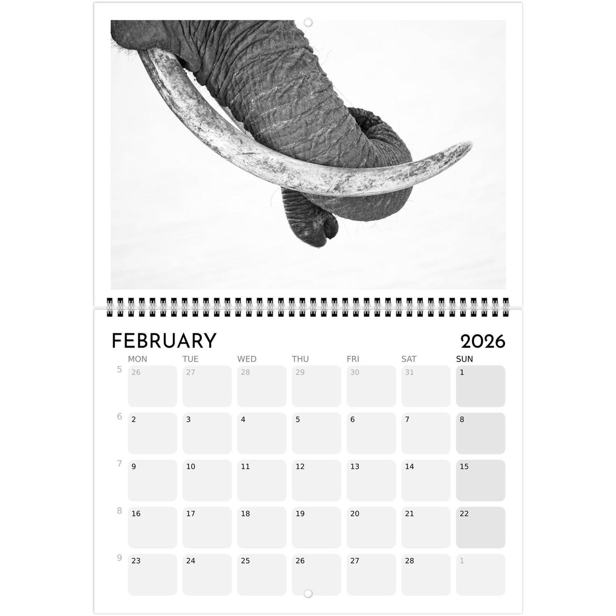 7565e3d1-fb2f-4353-aa62-ff25e1576ccb