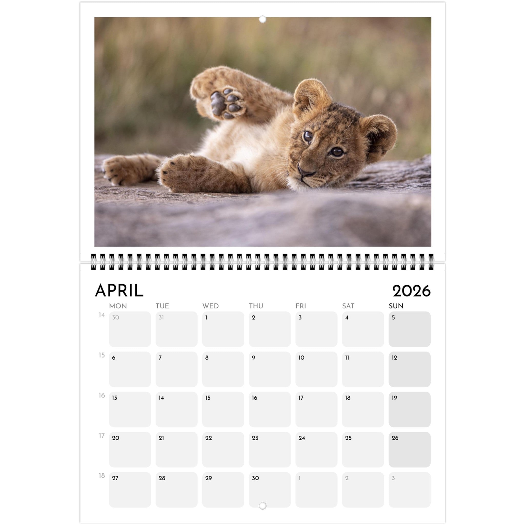 aeeb3454-ab27-44cf-8b94-f5768a39c425