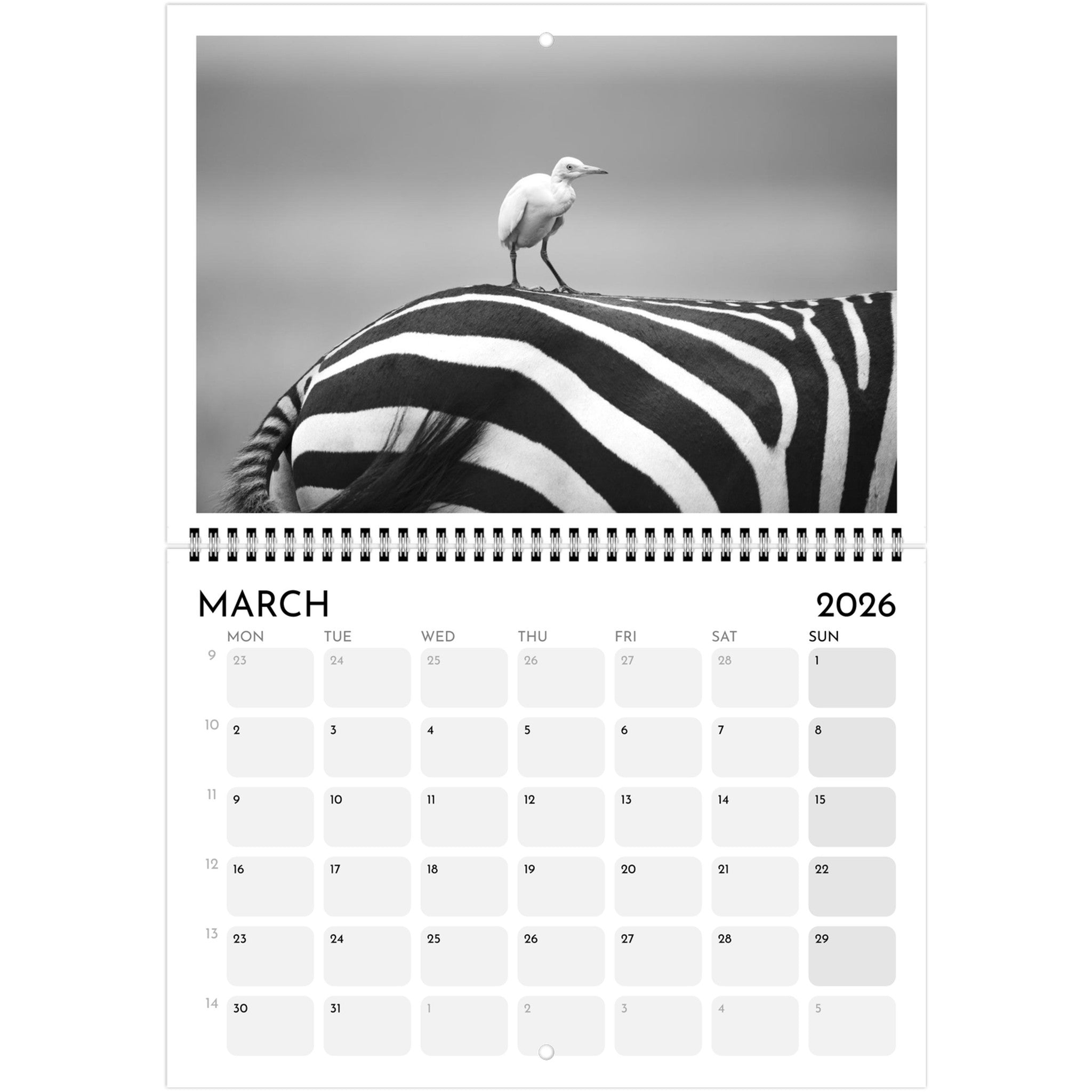 f6f737d4-4bf2-42ca-a118-17d140fe14bf